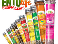 Mini-Kickers Flavored Crickets