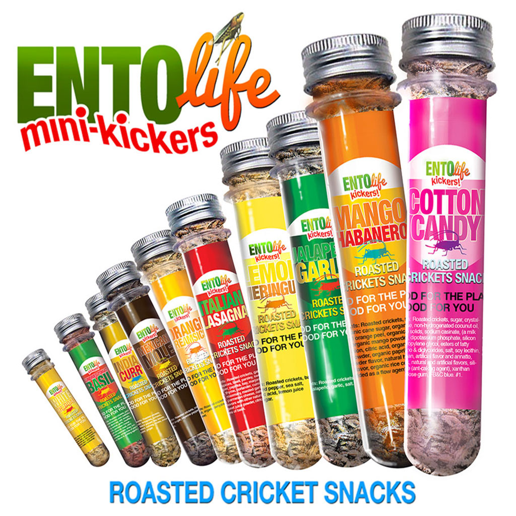 Mini-Kickers Flavored Crickets