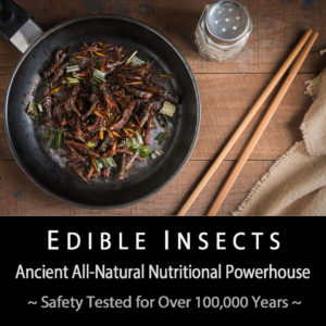 Insect Safety