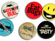 Six Entomophagy Buttons