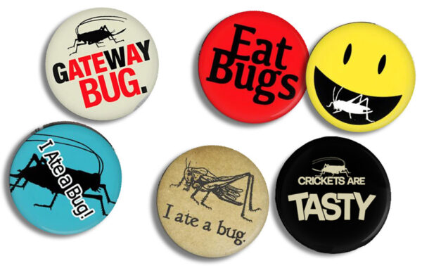 Six Entomophagy Buttons