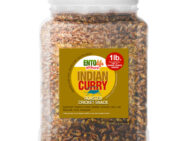 Crickets by the Pound: Indian Curry