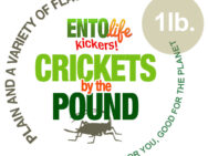 Edible Crickets by the Pound