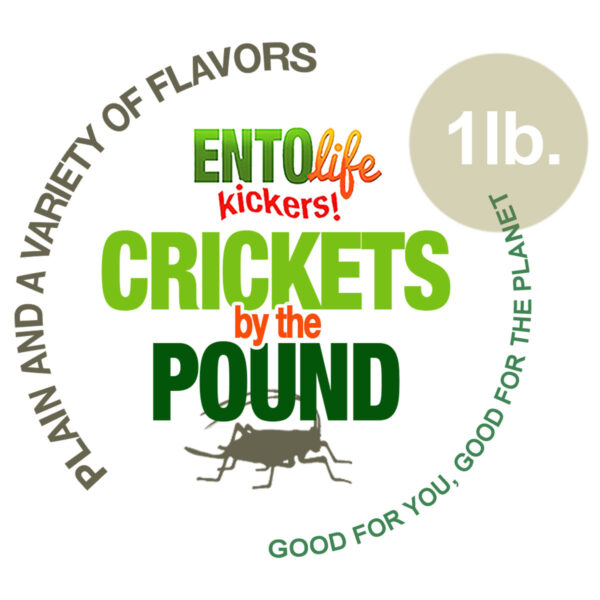 Edible Crickets by the Pound