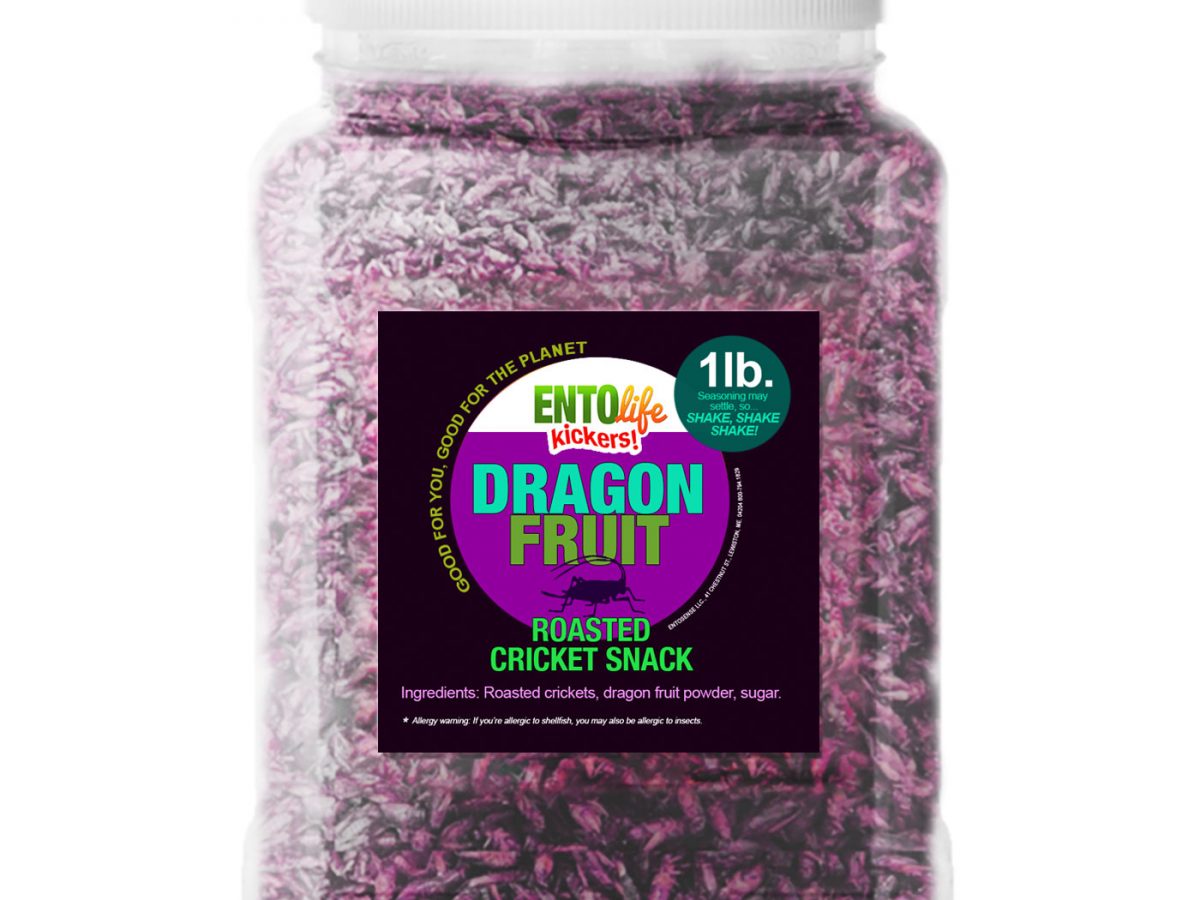 Bulk Edible Insects - Edible Insects