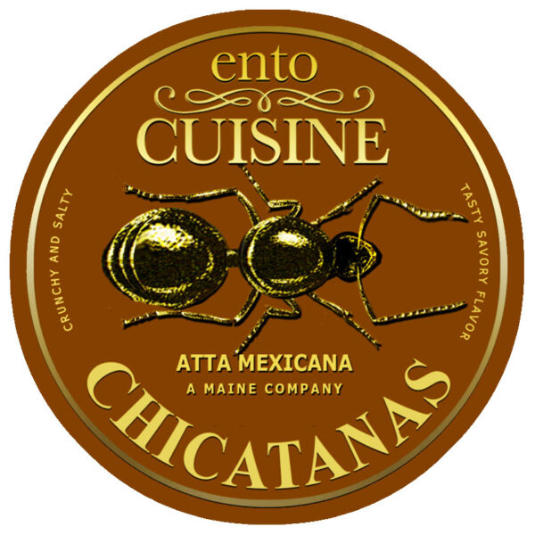 Chicatanas from Mexico