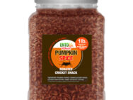 Crickets by the Pound: Pumpkin Spice