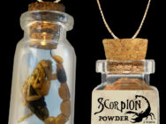 Edible Scorpion Bottles