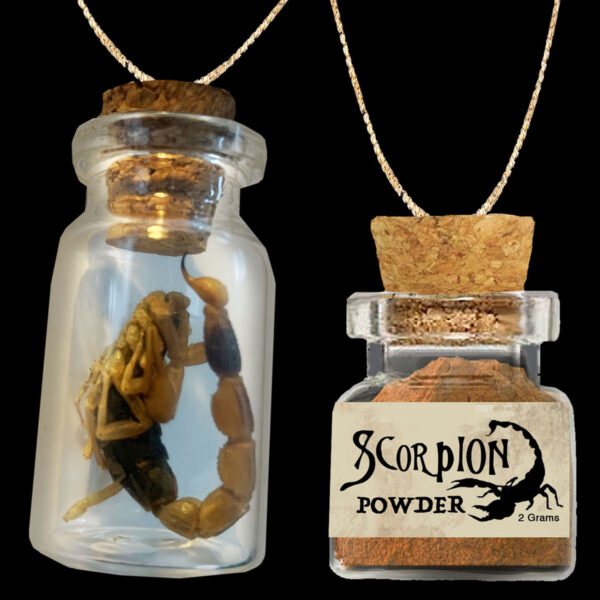 Glass Bottles Potions, Glass Spice Bottle Gold