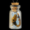 Real Edible Scorpion in a Bottle