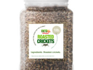 Whole Roasted Crickets