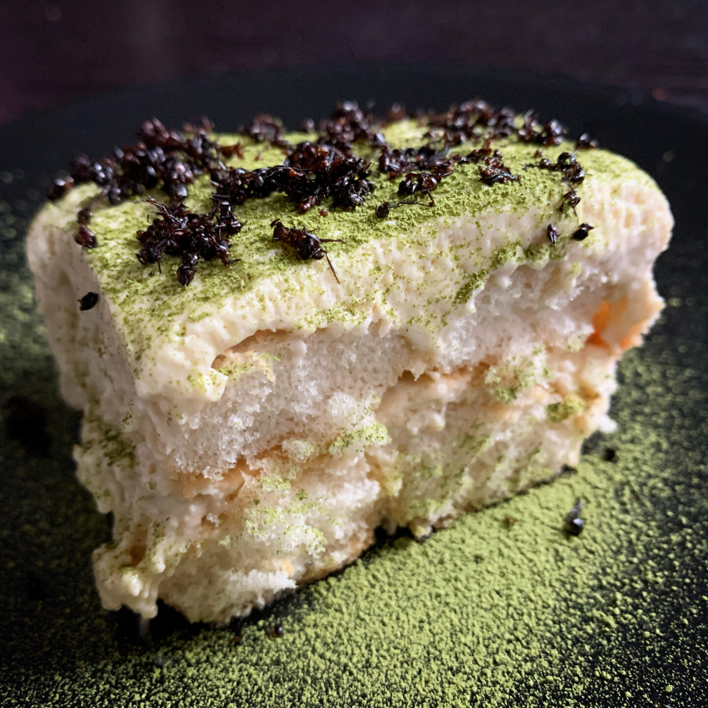 Black Ant, Cricket, Matcha Tiramisu