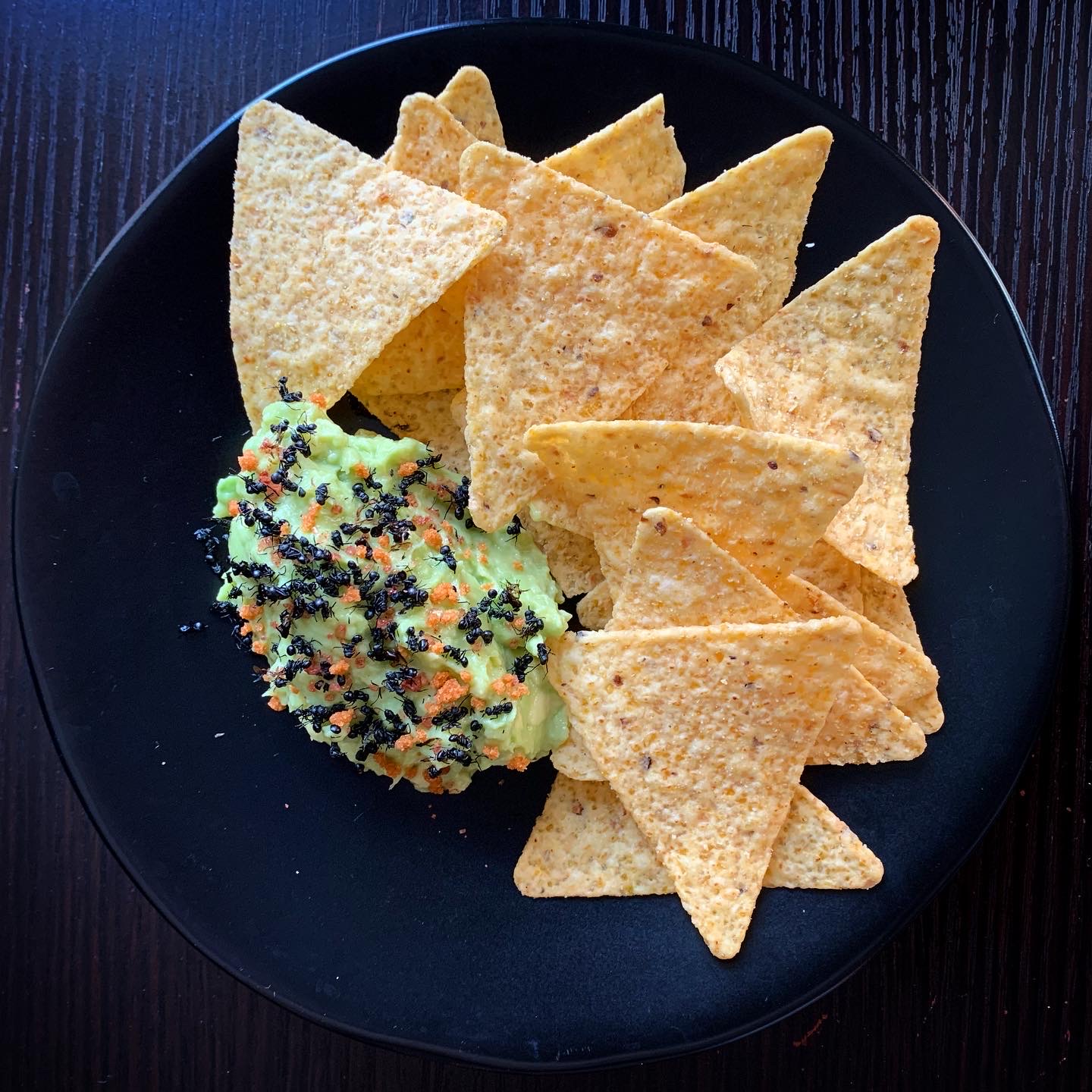 Black Ant Guacamole