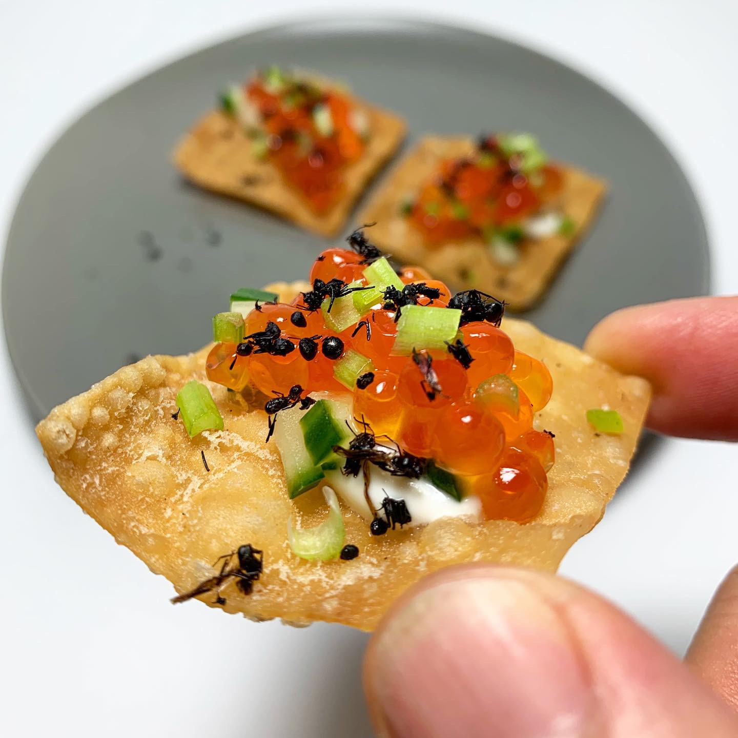Chef Joseph Yoon - Black Ant Ikura