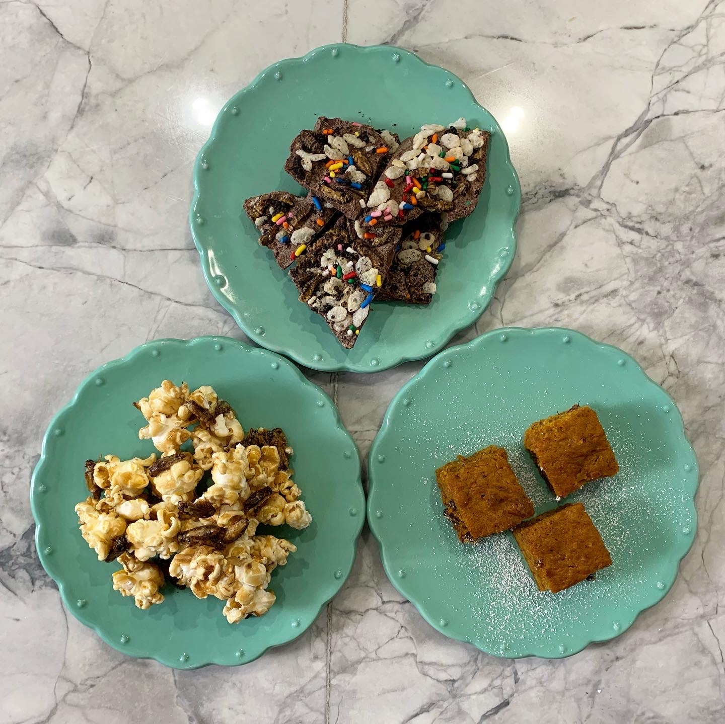 Black Ant and Cricket Chocolate Bark, Cricket Pumpkin Cake, Cricket Caramel Popcorn