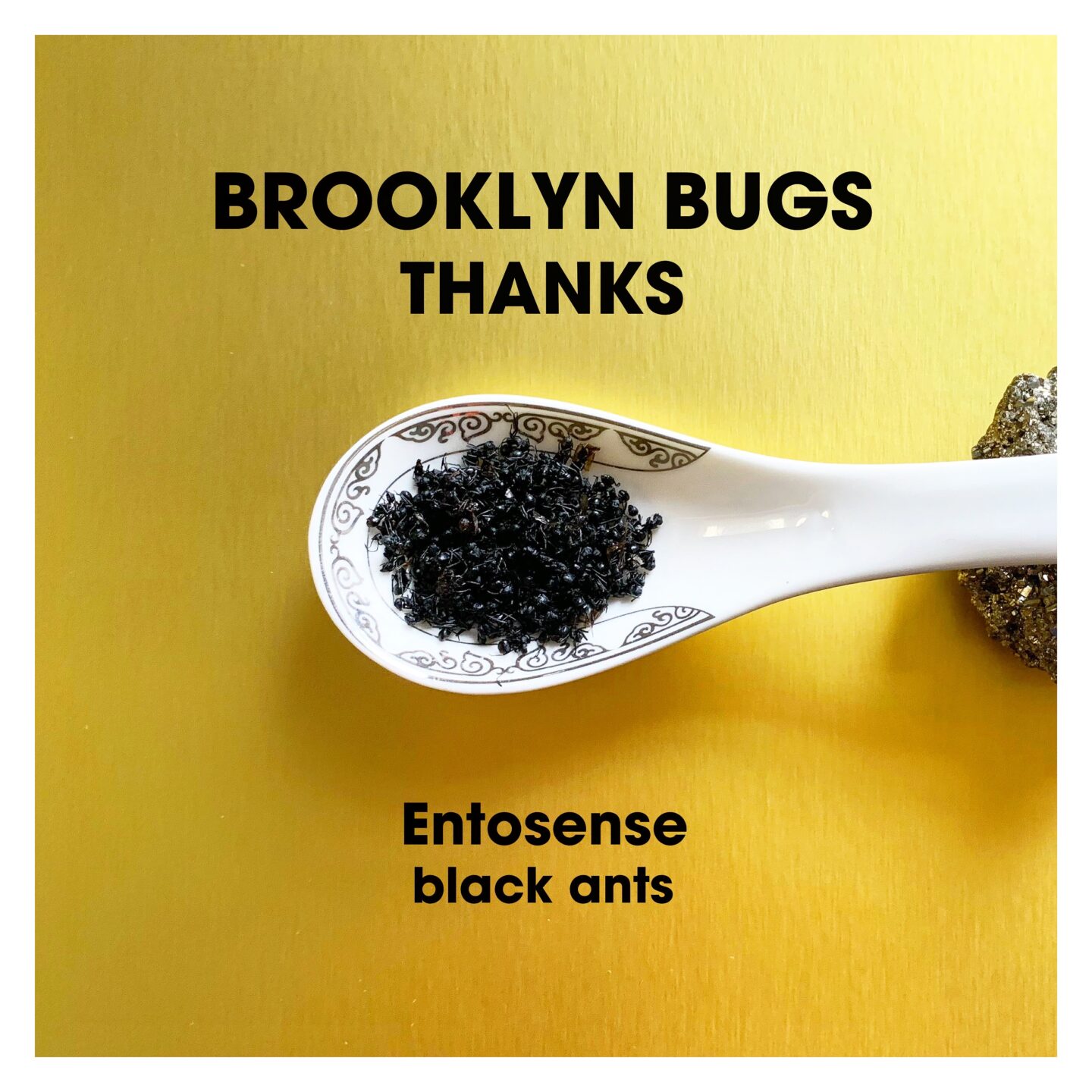 Black Ants-Entosense