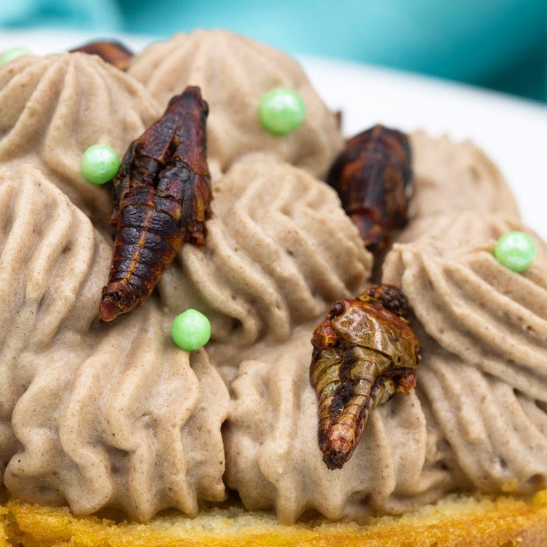 Joseph Yoon Chapulines