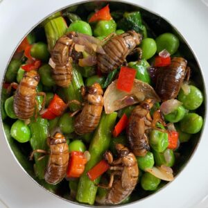 Cicada Nymph Warm Spring Salad