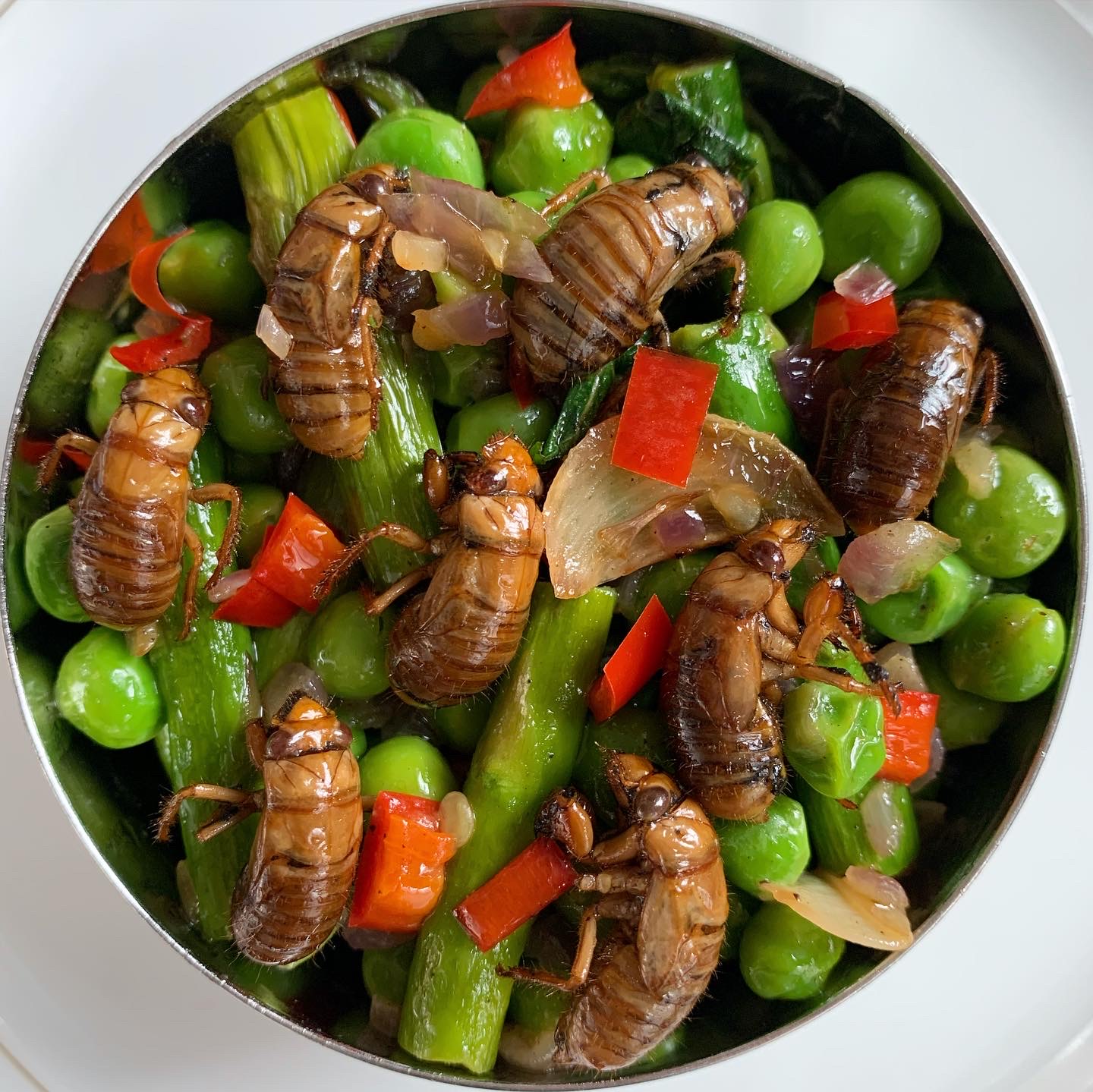 Cicada Nymph Warm Spring Salad
