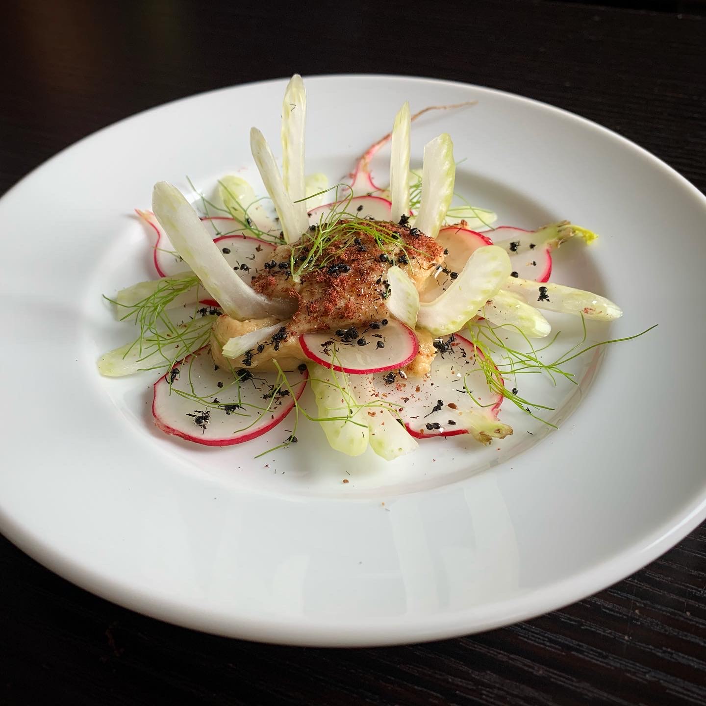 Cricket, Black Ant Hummus Dish