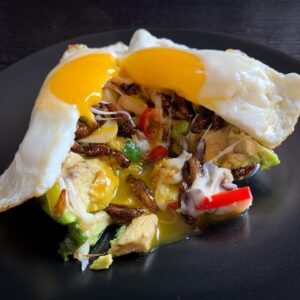 Cricket Stir Fry, Mozzarella, Avocado, Egg