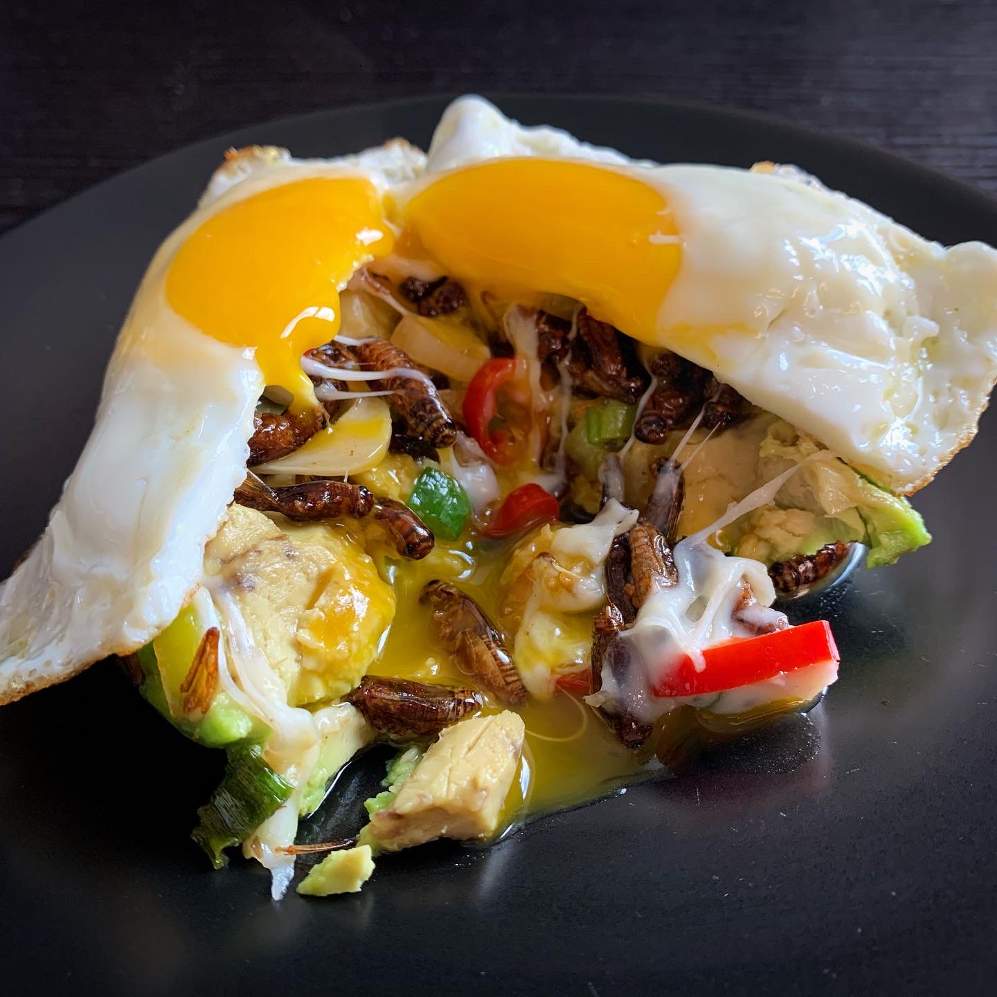 Cricket Stir Fry, Mozzarella, Avocado, Egg