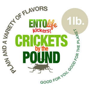 Edible Crickets by the Pound