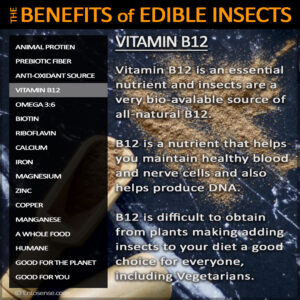 Edible Insect Nutrition - Vitamin-B12
