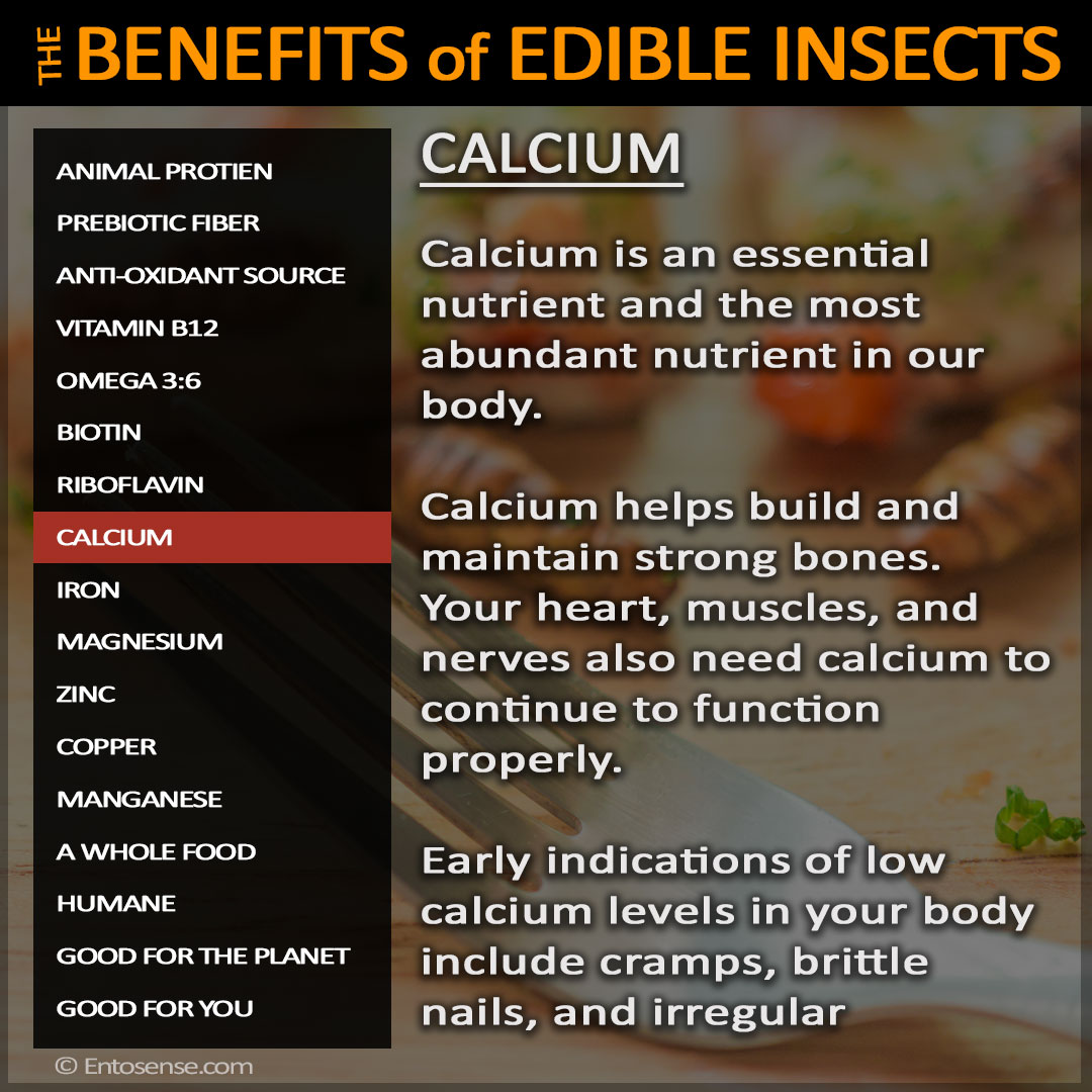 Edible Insect Nutrition - Calcium