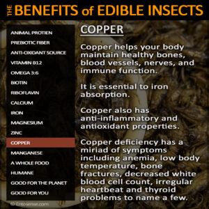 Edible Insect Nutrition - Copper