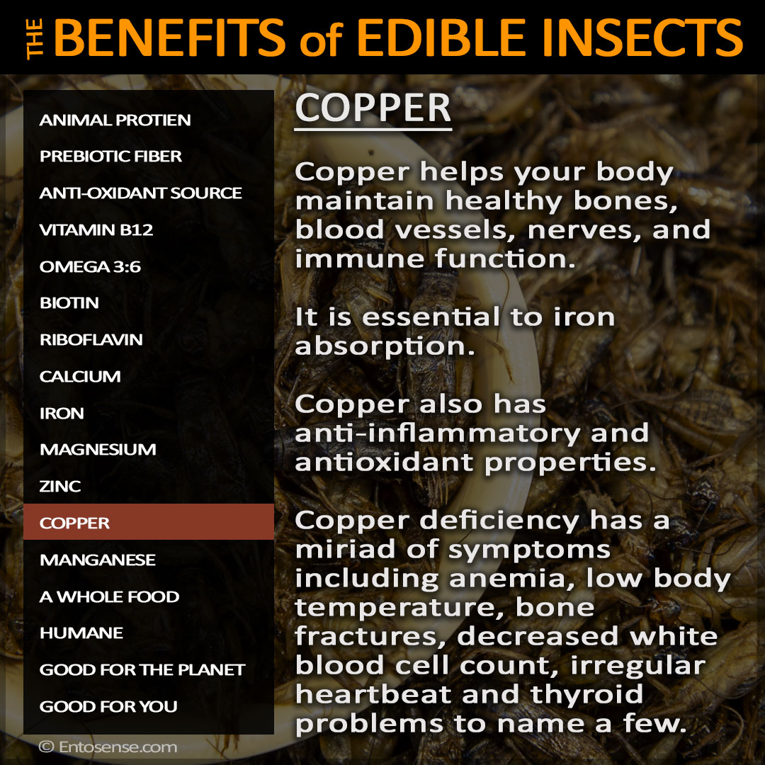Edible Insect Nutrition - Copper