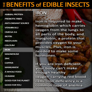 Edible Insect Nutrition - Iron