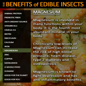 Edible Insect Nutrition - Magnesium