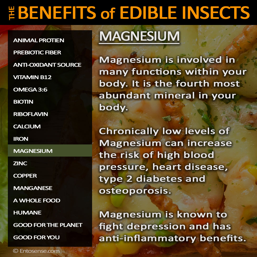 Edible Insect Nutrition - Magnesium
