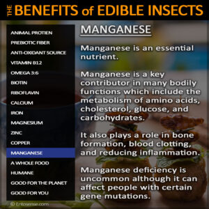 Edible Insect Nutrition - Manganese
