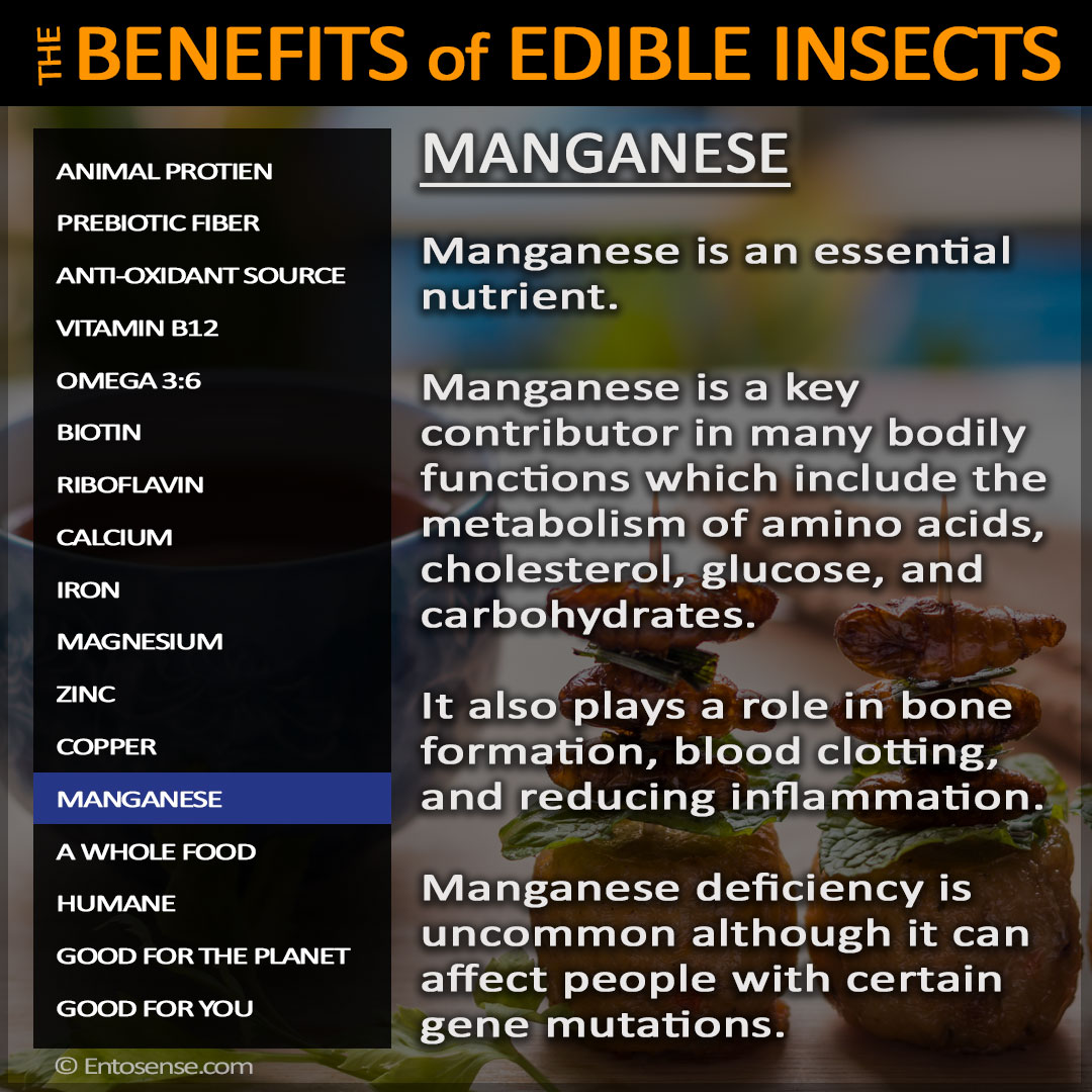 Edible Insect Nutrition - Manganese