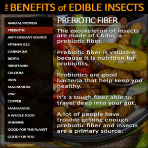 Edible Insect Nutrition - Prebiotic Fiber
