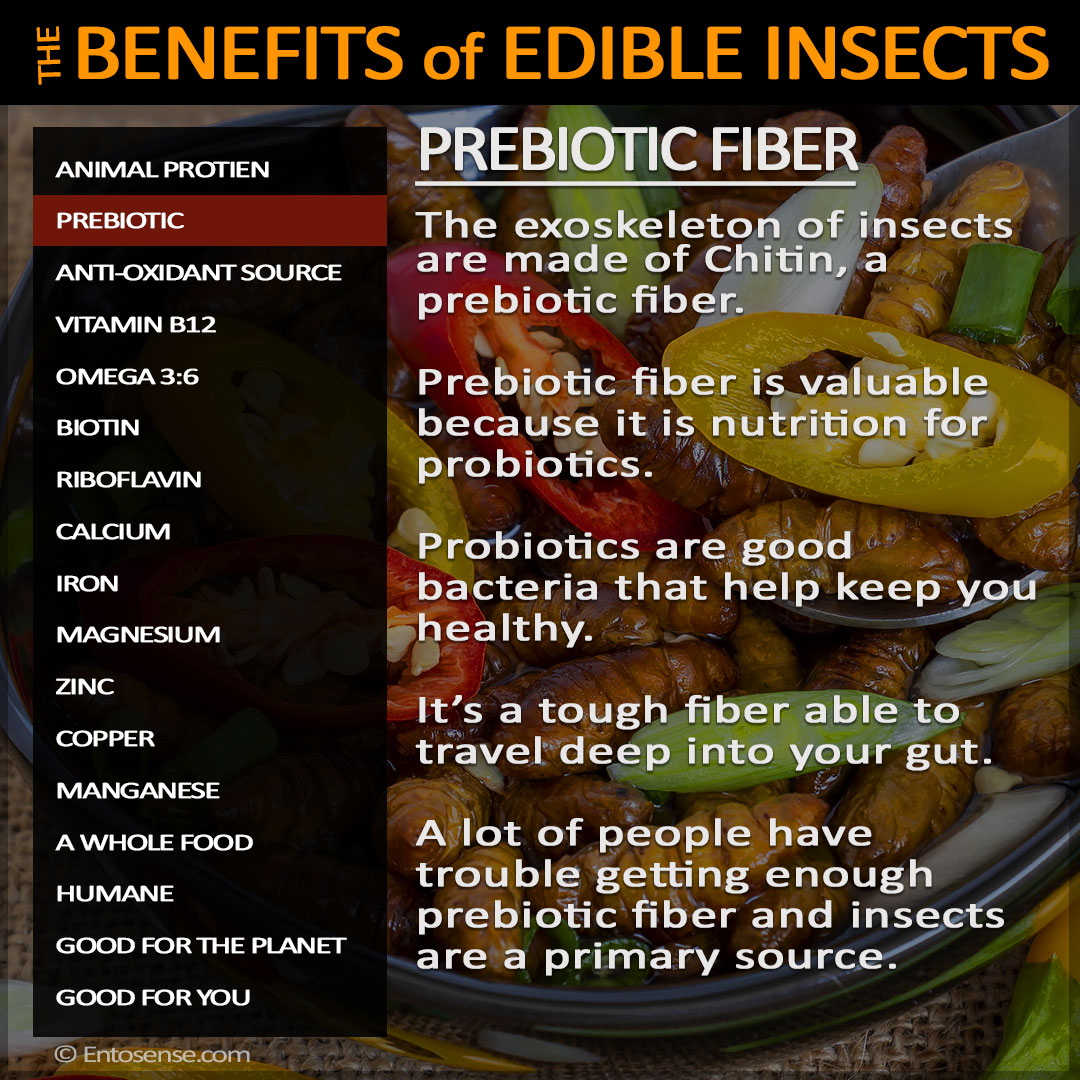Edible Insect Nutrition - Prebiotic Fiber