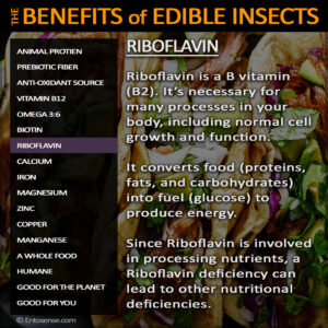 Edible Insect Nutrition - Riboflavin