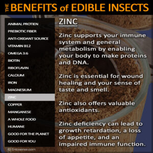 Edible Insect Nutrition - Zinc