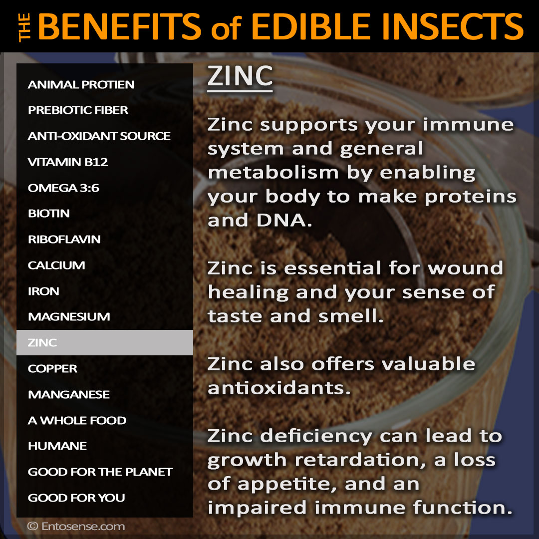 Edible Insect Nutrition - Zinc