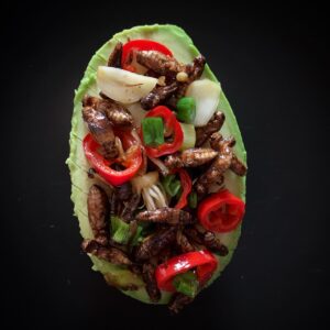 Garlic, Chili, Cricket Stir Fry, Avocado