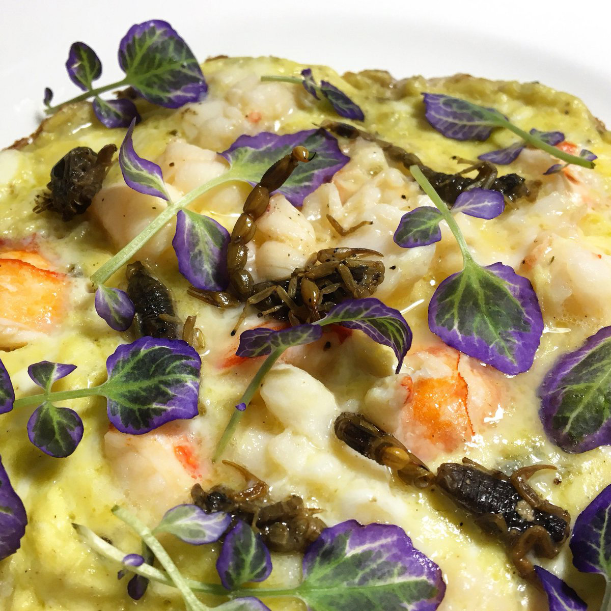 ManchurianScorpion-2