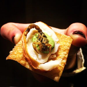 ManchurianScorpionCracker-2