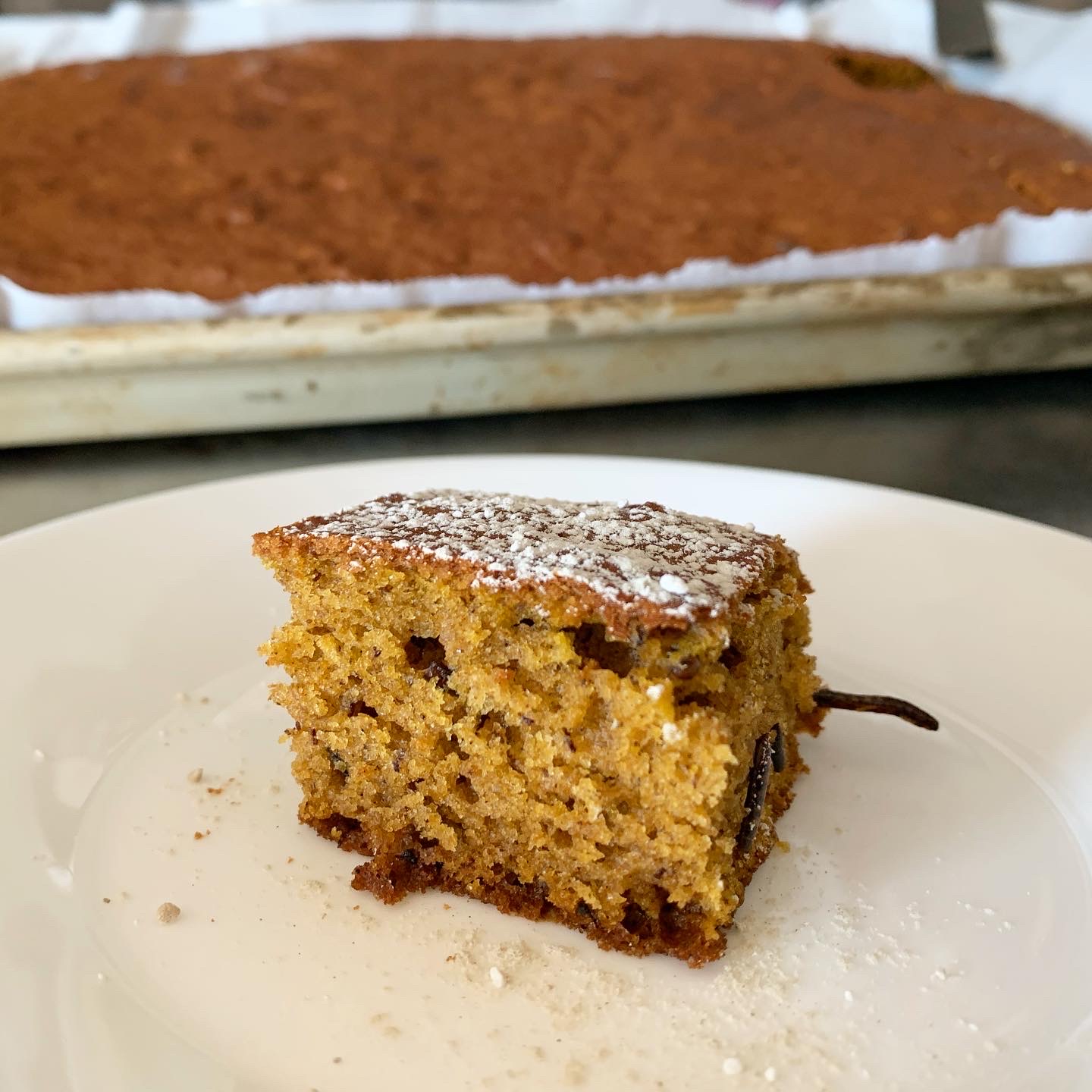 Mealworm Banana Bread