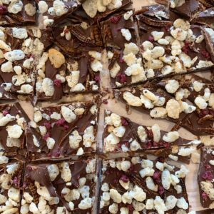 Mealworm Chocolate Bark with rice krispies