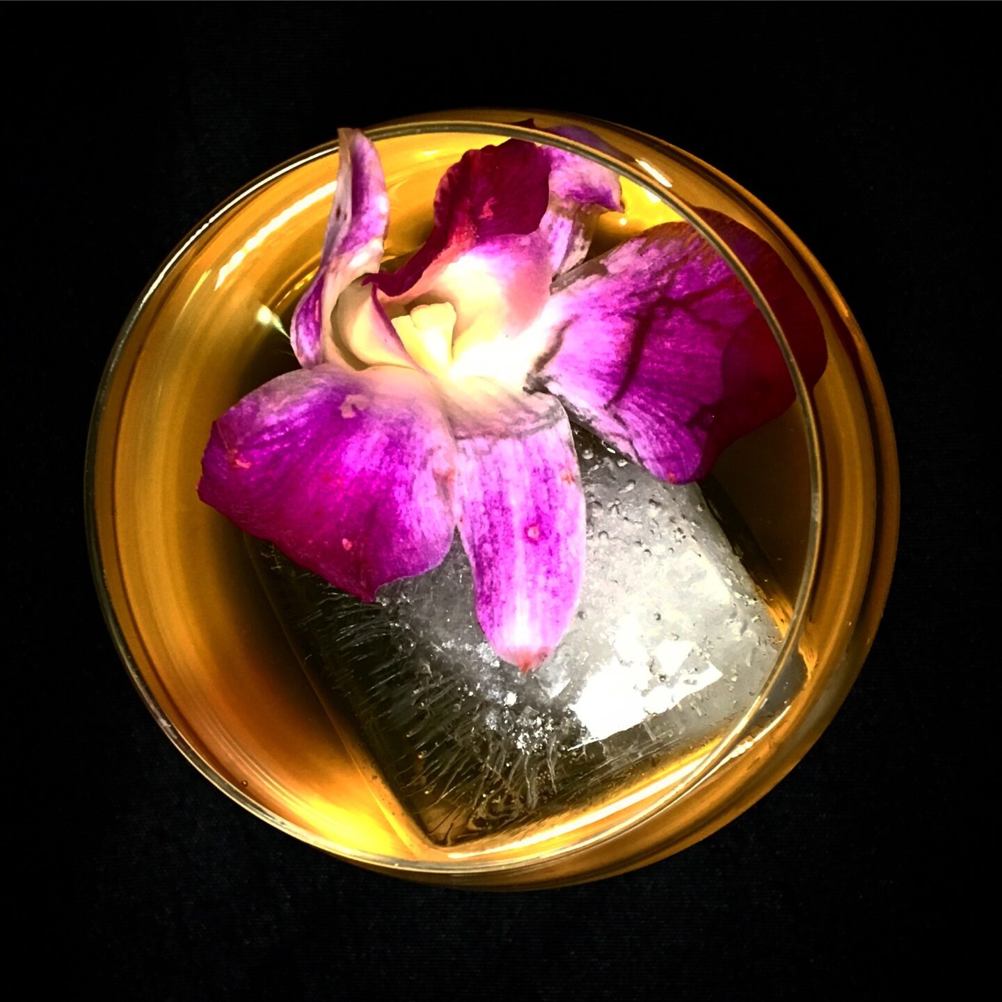 Chef Joseph Yoon - Mealworm Cocktail