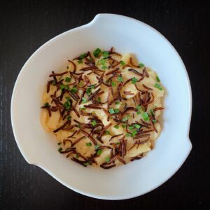 Mealworm Mac n Cheese