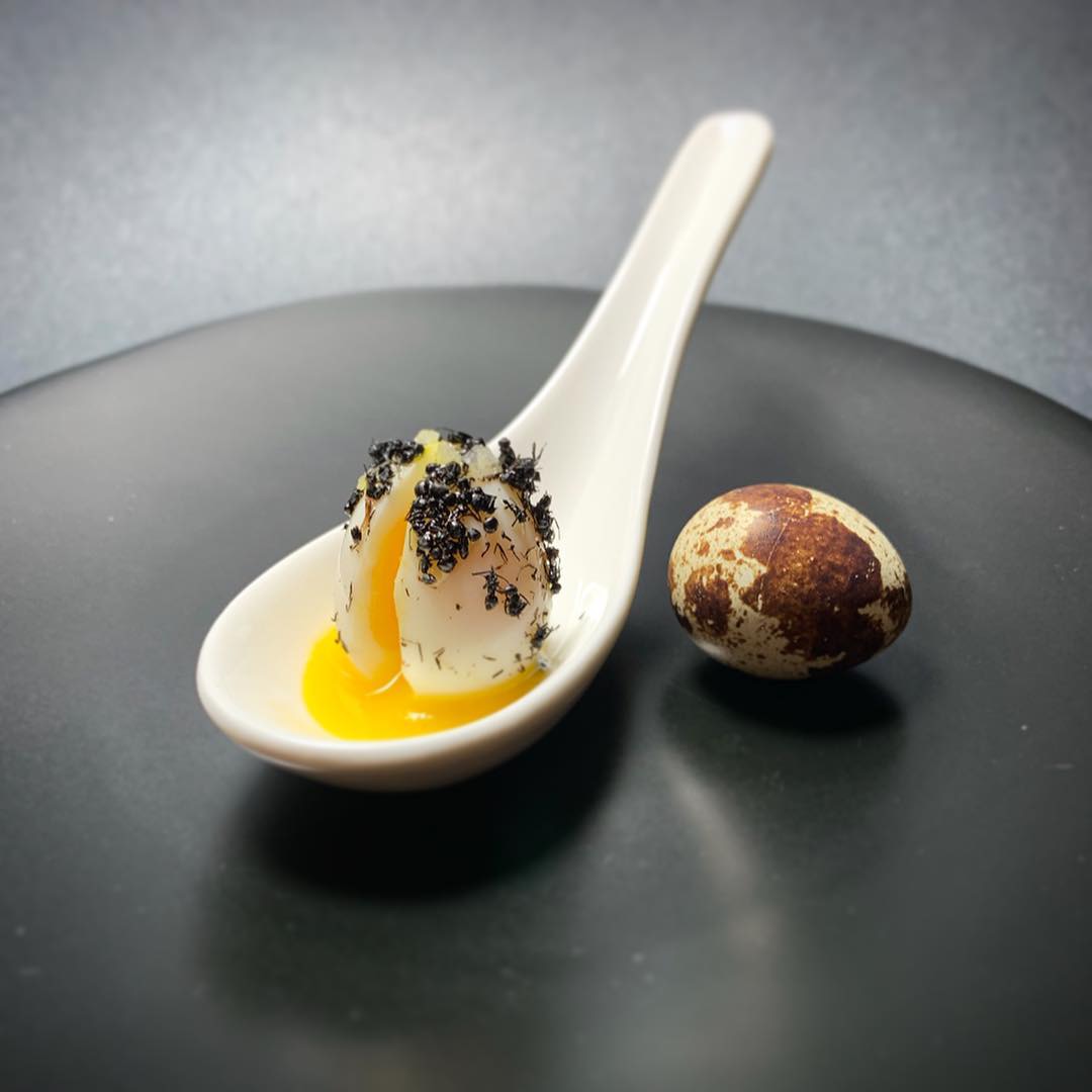 black ant, quail egg