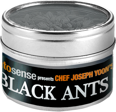 Yoon Gourmet Black Ants